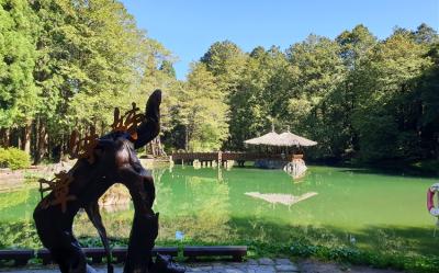 嘉義旅遊｜阿里山賞櫻花觀日出.頂石棹步道.巨木秘境.入住園區二日