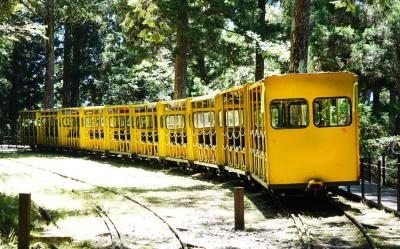 宜蘭旅遊│太平山蹦蹦車．森林小火車．原始林步道一日│大人囝仔