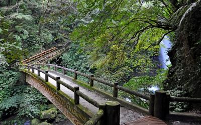 新北旅遊｜4/6連假享平日價優惠｜三峽滿月圓森林遊樂區森呼吸.白雞行修宮.客家文化園區1日