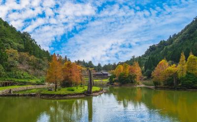 宜蘭旅遊｜慢遊明池湖泊仙境．馬告神木園區．童話迷宮步道二日｜大人囝仔