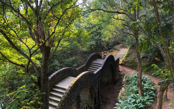 宜蘭旅遊|拱北殿賞楓紅．羅東落羽松祕境．採金棗．特色金棗餐1日|大人囝仔