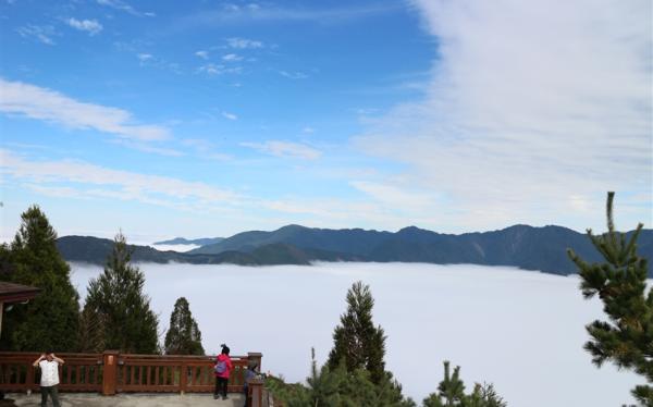 【天天出發】Together一起旅行◎雪霸休閒農場◎雲端上的觀霧◎雲霧步道◎野馬瞰山2日（一人成行）