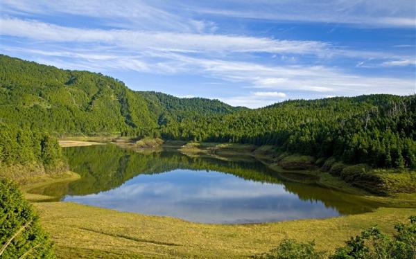 過年預購折1000｜宜蘭旅遊｜高山湖泊翠峰湖、太平山走春、林美小太魯閣、季節限定落羽松櫻梅、五星村却三日遊｜高雄台南出發