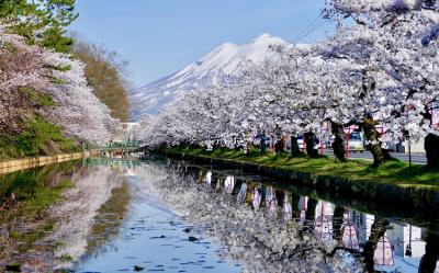 東北旅遊~直飛青森|櫻花名所~弘前公園.角館.北上展勝地.船岡城跡公園.嚴美溪.中尊寺.松島遊船.燒肉吃到飽.溫泉五日