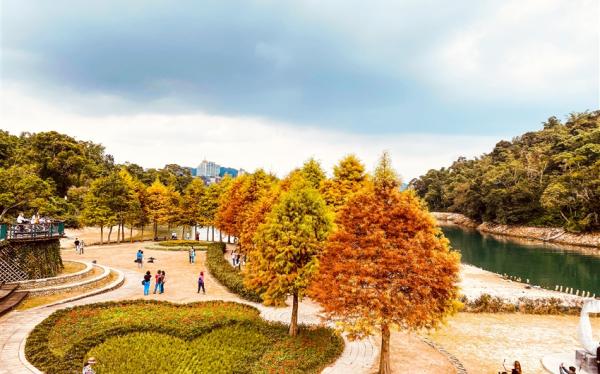 南投旅遊｜向山絕美落羽松.雙心花園.漫遊水社.陶的故鄉~水里蛇窯1日｜高雄出發