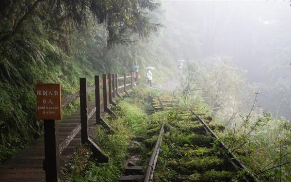 宜蘭旅遊│太平山最美小徑見晴步道．鳩之澤吊橋溫泉一日│大人囝仔