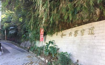 新竹旅遊｜季節限定.六寮古道賞螢去.好客文創園區.北埔老街一日