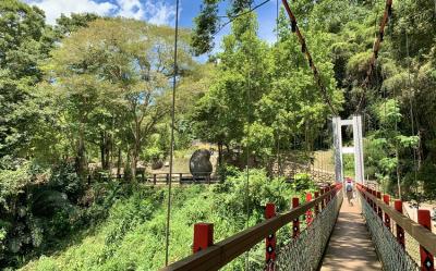 新竹旅遊｜梅花季.山上人家.角板山.清大梅園.老爺晚餐二日｜中部出發