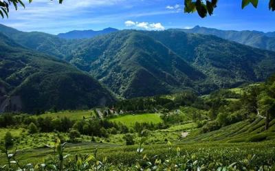 宜蘭旅遊｜四季武陵之美、冬山美徑、蘇澳瓏山林連泊三日遊｜高雄台南出發