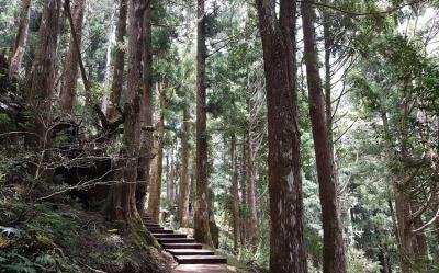 宜蘭旅遊｜太平山森林浴.原始林步道.全球最美見晴步道一日｜大人囝仔