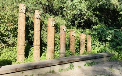 嘉義旅遊｜步道健行｜柳杉鐵道.特富野古道.阿里山森林樂園.阿里山園區住宿二日｜中部出發