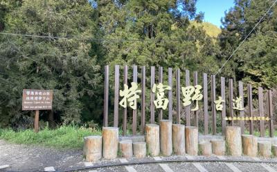 阿里山櫻花季．嘉義｜栩悅號.阿里山➔神木｜森林導覽櫻花列車.特富野古道.鄒族文化部落三日｜台中出發