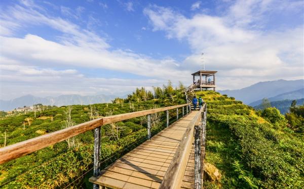 南投旅遊｜大崙山迎接2025第一道曙光～超壯觀雲海.茶二指喝茶去.溪頭森呼吸.紫南宮祈福求財.福華二日