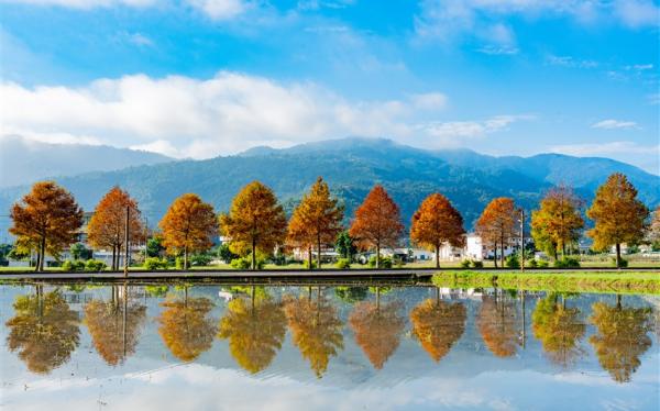 宜蘭旅遊｜原始叢林~松羅國家步道、季節限定落羽松、百年酒廠、三層崎花海、二晚捷絲旅三日遊｜高雄台南出發