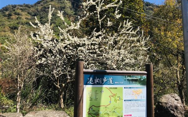 嘉義旅遊｜米洋溪步道．頂湖環湖O型步道．入住五星耐斯王子含飯店晚餐二日｜中部出發