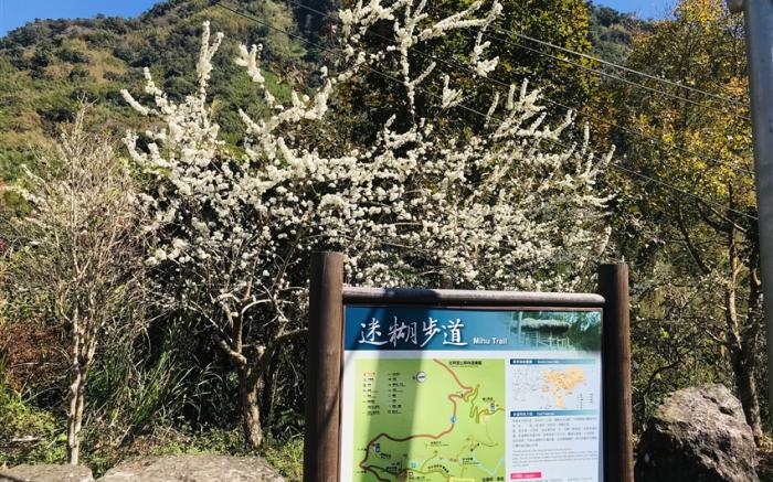 >嘉義旅遊｜米洋溪步道．頂湖環湖O型步道．入住五星耐斯王子含飯店晚餐二日｜中部出發