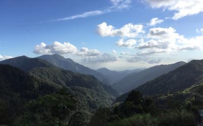 高屏旅遊｜季節限定茂林紫蝶.南橫天池.埡口雲海.新威森林.寒軒三日