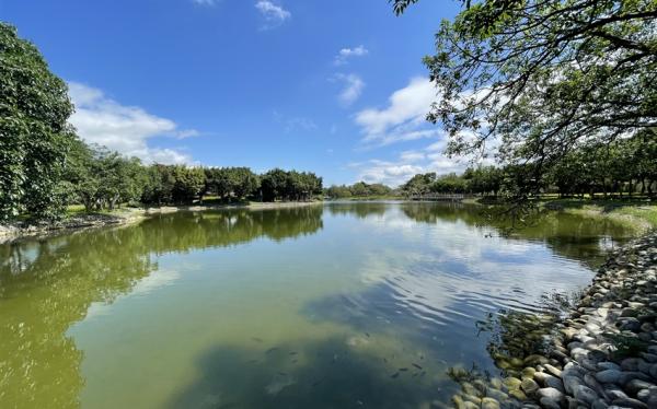 台東．大人囝仔｜鐵馬遊關山親水公園、旅人驛站文青鐵花村二日｜台南高雄出發