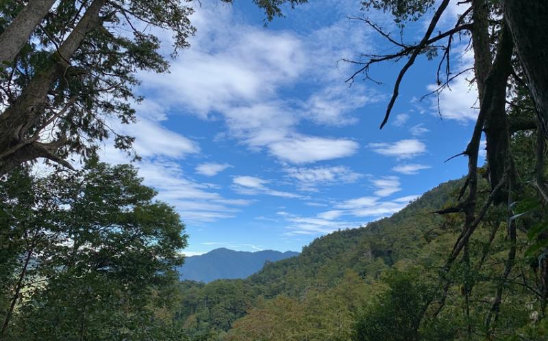 暑假折1千｜新竹旅遊│最接近上帝部落~鎮西堡巨木群步道、舊山線鐵道自行車、老爺自助晚餐、新竹老爺連泊三日│高雄台南出發