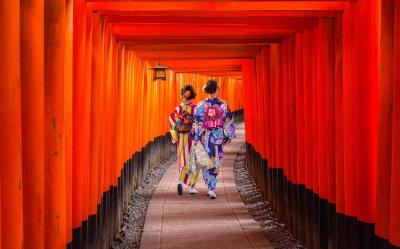 限量出清.關西旅遊｜奈良小鹿.京都廚房錦市場.清水寺.伏見稻荷大社.LaLaport門真五日｜台中出發