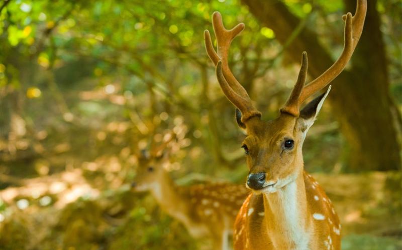 馬祖旅遊｜南北竿大坵島.八八坑道.鐵堡.愛芹播音站.尋鹿3日