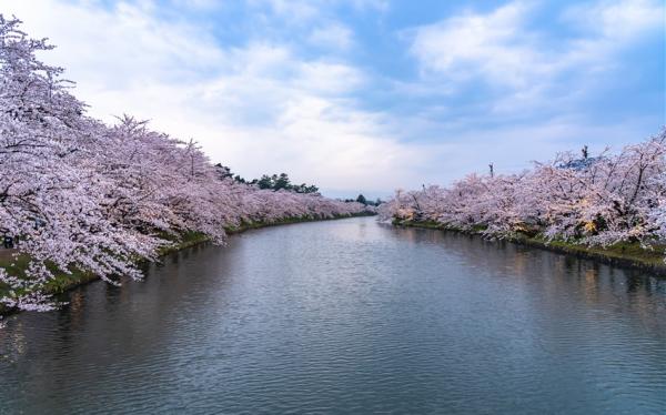 【主題旅遊】2025青森櫻花馬拉松5日(保證名額)