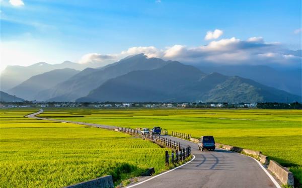 2025金蛇迎春.豪情花東山海戀.火車三日