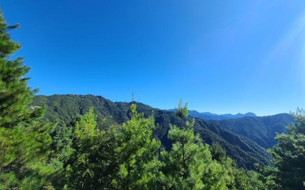 大雪山旅遊｜迷你小車團.四人成行｜神木、天池觀景台一日遊｜台中出發