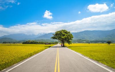 台東．鐵道旅遊台鐵兩人成行｜金崙溫泉．單車遊池上伯朗大道．加路蘭遊憩區．三仙台風景區三日｜高雄出發