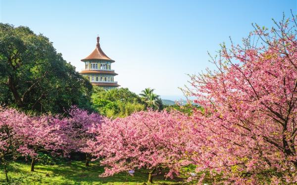 桃北旅遊｜百大亮點｜2025台灣燈會｜峨眉湖環湖步道.高鐵主燈展演場.鶯歌陶瓷老街二日｜中部出發