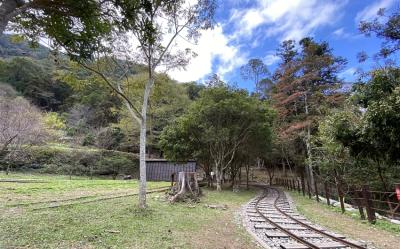 台中旅遊｜大人囝仔｜八仙山國家森林遊樂區.谷關溫泉老街一日｜中部出發