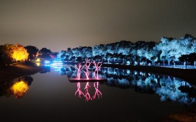 南投嘉義｜月津港燈節｜2025九族文化村櫻花祭｜獨家賞夜櫻下午茶．日月潭纜車二日｜中部出發