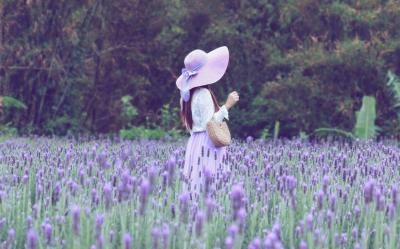 苗栗旅遊│紫海綻放~限定薰衣草、中社賞花趣、BBQ饗宴、好客公園賞桐趣二日遊│高雄台南出發