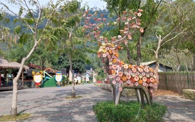 嘉義旅遊｜迷糊步道．鄒族逐鹿文創園區．入住阿里山園區飯店二日｜中部出發