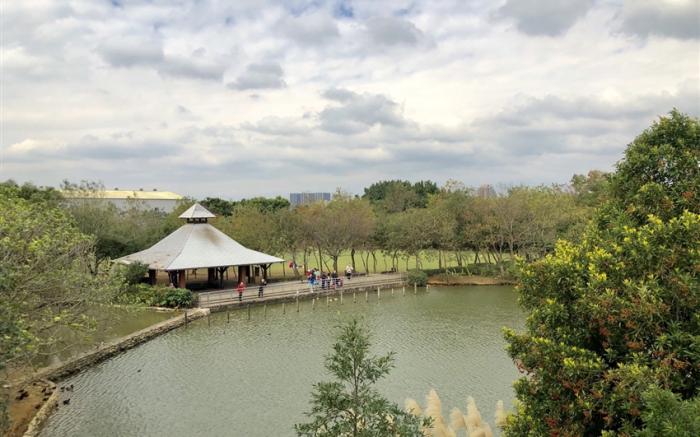 >桃園旅遊｜2025臺灣燈會in桃園.桃園酒廠賞櫻花.八德埤塘生態公園一日