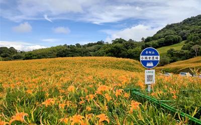 【2人成行】玉石創作DIY.赤柯山金針花海.秘境火車3日