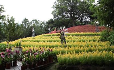 苗栗旅遊｜新社薰衣草.台中紙箱王.卓也藍染DIY.花露農場.農場採蔬果.鯉魚潭水庫.巧克力雲莊.卓也二日｜大人囝仔