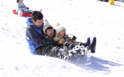 省最大北海道旅遊｜雪盆戲雪.海洋公園.企鵝遊行.洞爺湖.昭和新山.小樽漫遊.溫泉螃蟹五日｜保住一晚溫泉