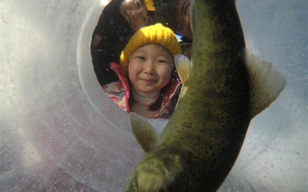 冬遊首爾｜山鱒魚慶典｜保住鬧區&渡假村．冰釣鱒魚．滑雪體驗．暢玩樂天世界．景福宮韓服體驗．跆拳秀(一站彩妝)五日｜高雄