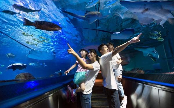 金蛇賀歲折4000│五星遠雄悅來.歡樂海洋公園.鯉魚潭踩船.親子拓印敲敲樂.兆豐農場.親子火車三日