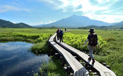 《主題旅遊》日本最大高原溼地～尾瀨之原健行6日(含小費)