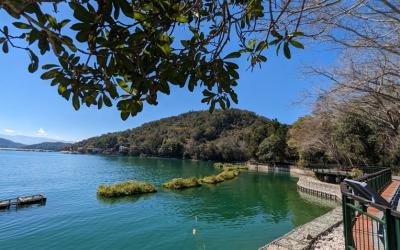 南投旅遊｜暨大櫻花季｜日月潭遊湖．伊達邵親水步道．喝喝茶一日｜中部出發