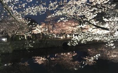 九州｜遇見春櫻.一心行大櫻.宇佐神宮.福岡西公園.熊本城.萌熊電鐵.舞鶴夜櫻.金鱗湖.湯布院.溫泉五日【高雄直飛】