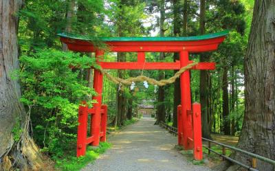 客製｜東北北海道雙城遊~四大溫泉~奧入瀨溪.青森蘋果神社.函館夜景.洞爺湖深度七日遊【專屬包車】※不含機票