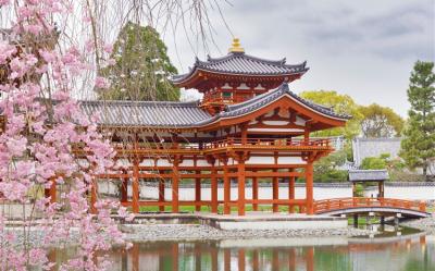 京阪春櫻極選‧高台寺夜櫻‧近江牛‧河豚料理‧嚴選旅宿雙逸林酒店‧五星盛泰瀾