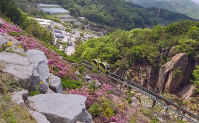 首爾旅遊｜升等住萬豪集團RYSE.水原星空圖書館.穿韓服遊景福宮.南怡島美境.弘大自由逛.超市補貨趣(一站購物彩妝)五日