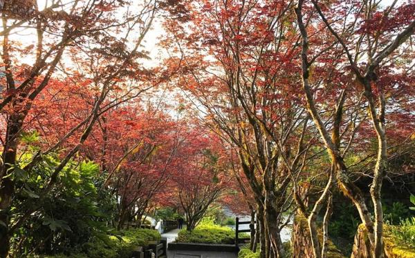 連假折2千｜宜蘭旅遊｜經典三森林~棲蘭明池太平山森呼吸、馬告神木園、鳩之澤泡湯、無自理餐、礁溪長榮四日遊｜高雄台南出發