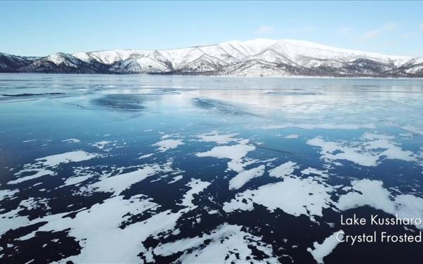 玩樂369北海道旅遊｜冬季白色燈樹節.旭山北極熊.幸運之森.熱氣球.摩周湖.三大蟹溫泉五日｜保住一晚鶴雅集團