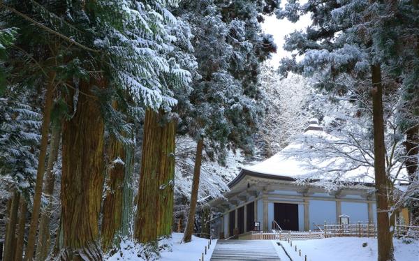 迎春折2,000｜花卷～岩手冰之世界一票玩到底．冬季獨家藏王樹冰．雪季三重奏五日｜保證入住花卷溫泉