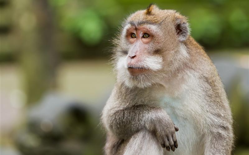 2025~2026超早鳥優惠6折起開賣｜ClubMed峇里島精緻全包式假期五日